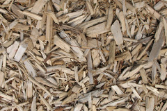 biomass boilers Presdales